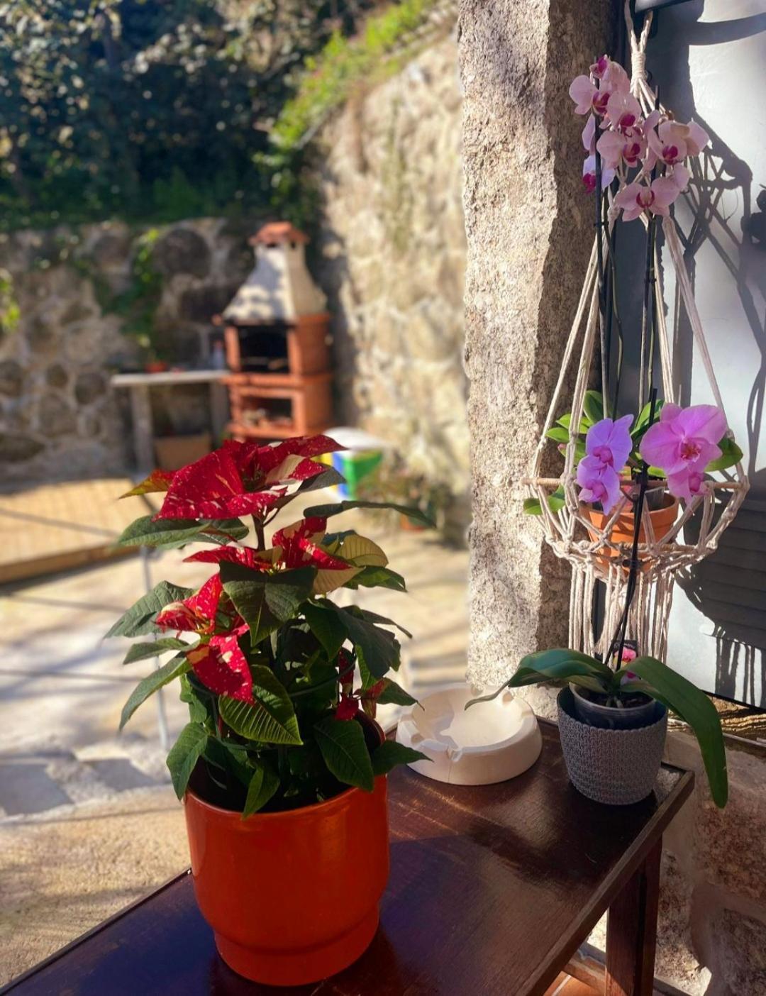Casa Da Quinta Costa D'Alem Geres Villa Terras de Bouro Luaran gambar